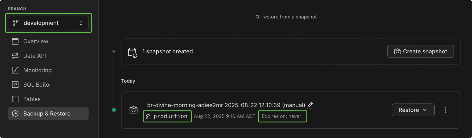 snapshots showing on other branch view